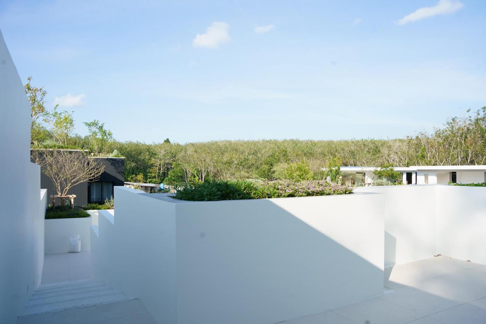 Tree O'Clock Pool Villa - Phuket 타랑 객실 사진